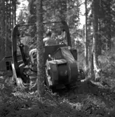 Vägbygge några mil norr om Storvik. Augusti 1950. Reportage för Gefle Dagblad och Norrlands Posten.

