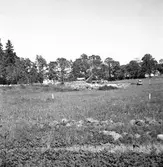 Ny idrottsplats på Brynäs under arbete. Augusti 1950.


