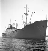 Gävle hamn, invasion av fartyg. Augusti 1950.



