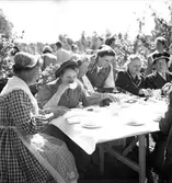 Husmodersträff i Skutskär. 15 augusti 1950.



