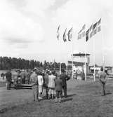 Gävlemässan, utställning på Sätraåsen, Travbanan. 24 juni 1950.



