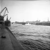 Kungsbäck. Plutonchefsskolans avslutning 5 september 1950.




