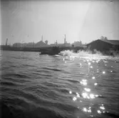 Kungsbäck. Plutonchefsskolans avslutning 5 september 1950.



