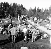 Arbetarbladet mästerskap. 1950.




