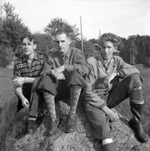 Arbetarbladet mästerskap. 1950.




