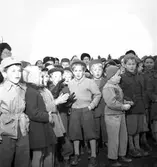 Gävle stads Sparbank, plantering av ek vid Nynäs. 31 oktober 1950.


