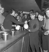 Fettisdagstävlingarna, skolungdomens skidtävlingar. 13 februari 1951.
