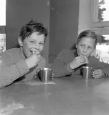 Fettisdagstävlingarna, skolungdomens skidtävlingar. 13 februari 1951.
