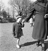 Rörbergsbarn, grupp tagna i Stenebergsparken. Maj 1951.