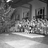 Gefle Jultomtar, julfest. 16 december 1951. Frk. Ljung,
Brändströmgatan 10, Gävle