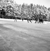 Bandymatch Bollnäs - Skutskär. 13 januari 1952.



