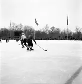 Bandymatch Forsbacka - Edsbyn. 3 februari 1952.