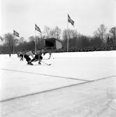 Bandymatch Forsbacka - Edsbyn. 3 februari 1952.