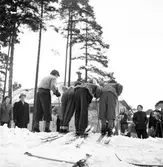 Skidtävling för barn. 3 februari 1952.