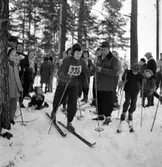 Skidtävling för barn. 3 februari 1952.