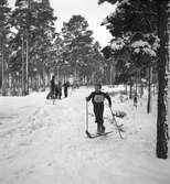 Skidtävling för barn. 3 februari 1952.