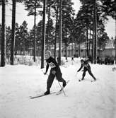 Skidtävling för barn. 3 februari 1952.