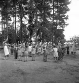 Rörbergs koloni, reportage 24 juni 1952.