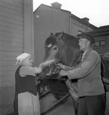 Fröknarna Olsson, Staketgatan, Gävle. Pingst 1952.