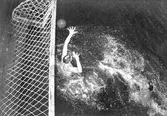 Vattenpolotävling i Skutskärsbadet. 8 augusti 1952.
