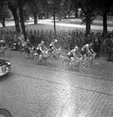 Sverigeloppet. Cyklisterna passerar Gävle. Juli 1952.