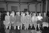 Skolan börjar. Läroverkets aula. 27 augusti 1952.