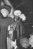 Spårvagnarnas sista tur. Avskedsfest vid lokstallarna. 19 oktober 1952. Reinhold Blixt tar emot blommor på sin sista arbetsdag då han körde in sista vagnen. På bilden syns också Stig Forsberg i uniformsmössa och Helmer Östling iförd hatt.