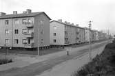 Nybyggda stenhus på Brändströmsgatan. 29 augusti 1946.