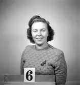 Telegrafverket legitimationskort

