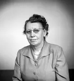 Telegrafstationen legitimationskort.
