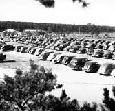 Bilparkering vid Travbanan. Augusti 1950..


