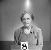 Telegrafverket legitimationskort. 15 augusti 1952.
Fotografi nr 8.



