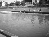 Plaskdammen vid Stenebergsparken