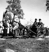 Hållnäs Lantbruksutställning. Uppland den 6 augusti 1949