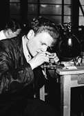 Hantverkstävling på Rotundan den 2 april 1950. Optiker.