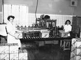 Druvans saftfabrik. Den 29 juni 1950