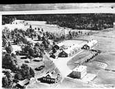 Skogsvårdsstyrelsen, juni 1942


