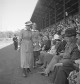 Medborgarfest. Insamling av pengar

