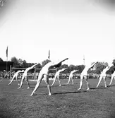 Medborgarfest. Gymnastikuppvisning
