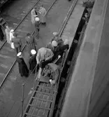 Ryska flyktingar vid avfärden från Fredriksskans

Juni 1945