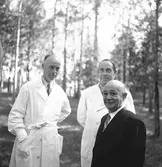 Cirkus Scotts föreställning vid lasarettet. Juni 1943

