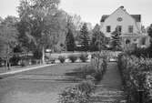 Adolf Ahlgrens trädgård och bostad. Den 27 maj 1943

