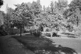 Adolf Ahlgrens trädgård. Den 27 maj 1943

