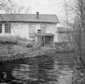 Kristinelunds Angoraspinner. Den 17 maj 1946



