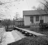 Kristinelunds Angoraspinneri. Den 17 maj 1946



