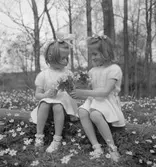 Kristinelunds Angoraspinneri. Den 17 maj 1946



