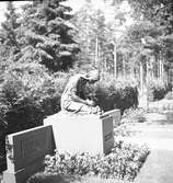 Skogskyrkogården. Juli 1939. Reportage för Arbetarbladet


