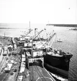 Bilder från Fredriksskans. Gefle Stad. Juli 1939.


