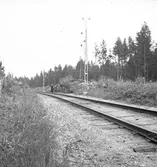 Bilolycka vid Furuvik. Reportage för Arbetarbladet. Juli 1939





