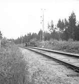 Bilolycka vid Furuvik. Reportage för Arbetarbladet. Juli 1939





